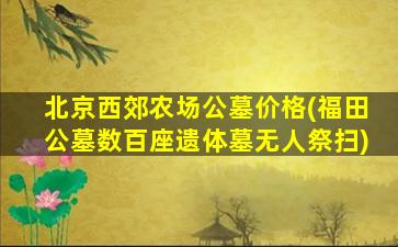 北京西郊农场公墓价格(福田公墓数百座遗体墓无人祭扫)