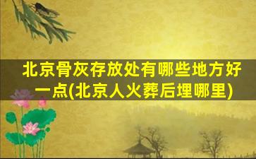 北京骨灰存放处有哪些地方好一点(北京人火葬后埋哪里)