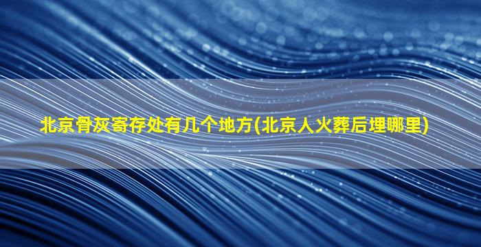 北京骨灰寄存处有几个地方(北京人火葬后埋哪里)