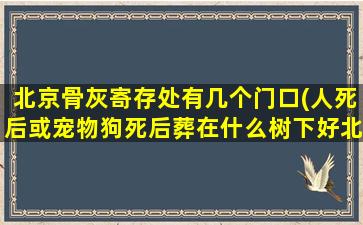 北京骨灰寄存处有几个门口(人死后或宠物狗死后葬在什么树下好北京有做骨灰钻石的公司吗)