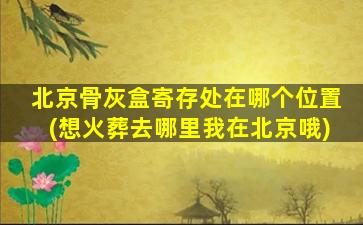 北京骨灰盒寄存处在哪个位置(想火葬去哪里我在北京哦)