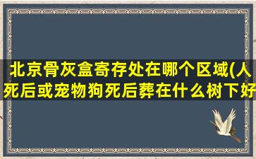 北京骨灰盒寄存处在哪个区域(人死后或宠物狗死后葬在什么树下好北京有做骨灰钻石的公司吗)