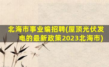 北海市事业编招聘(屋顶光伏发电的最新政策2023北海市)
