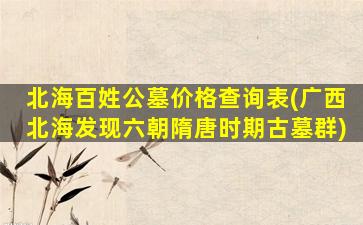 北海百姓公墓价格查询表(广西北海发现六朝隋唐时期古墓群)