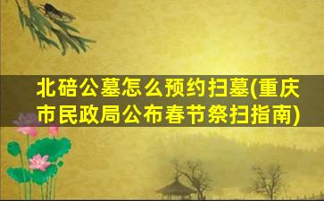 北碚公墓怎么预约扫墓(重庆市民政局公布春节祭扫指南)