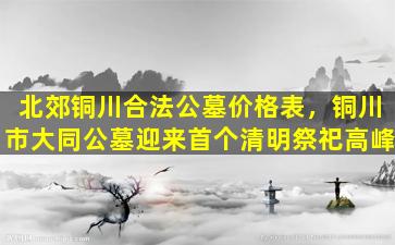 北郊铜川合法公墓价格表，铜川市大同公墓迎来首个清明祭祀高峰