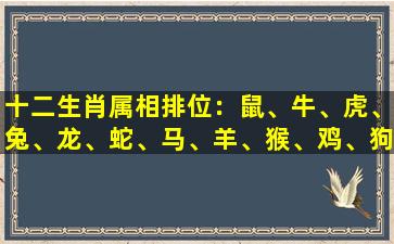 十二生肖属相排位：鼠、牛、虎、兔、龙、蛇、马、羊、猴、鸡、狗、猪