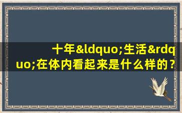 十年“生活”在体内看起来是什么样的？戒指过时是非常痛苦的，女人应该记得自己爱自己