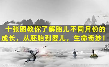 十张图教你了解胎儿不同月份的成长，从胚胎到婴儿，生命奇妙！