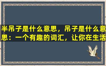 半吊子是什么意思，吊子是什么意思：一个有趣的词汇，让你在生活中充满乐趣