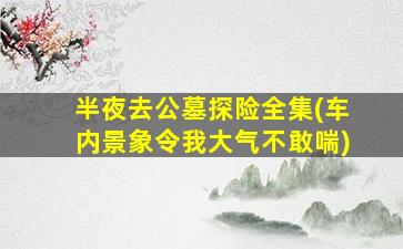 半夜去公墓探险全集(车内景象令我大气不敢喘)