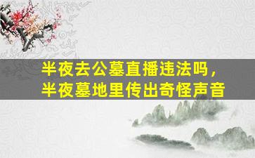 半夜去公墓直播违法吗，半夜墓地里传出奇怪声音
