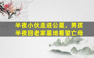 半夜小伙走进公墓，男孩半夜回老家墓地看望亡母