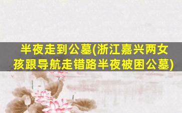 半夜走到公墓(浙江嘉兴两女孩跟导航走错路半夜被困公墓)