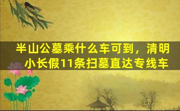半山公墓乘什么车可到，清明小长假11条扫墓直达专线车