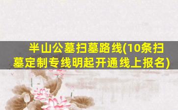 半山公墓扫墓路线(10条扫墓定制专线明起开通线上报名)