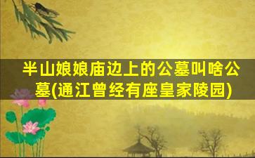 半山娘娘庙边上的公墓叫啥公墓(通江曾经有座皇家陵园)