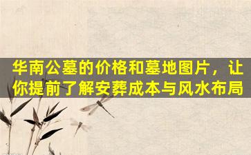 华南公墓的价格和墓地图片，让你提前了解安葬成本与风水布局