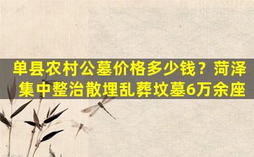 单县农村公墓价格多少钱？菏泽集中整治散埋乱葬坟墓6万余座