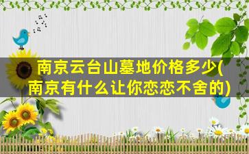 南京云台山墓地价格多少(南京有什么让你恋恋不舍的)