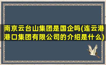 南京云台山集团是国企吗(连云港港口集团有限公司的介绍是什么)