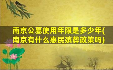 南京公墓使用年限是多少年(南京有什么惠民殡葬政策吗)