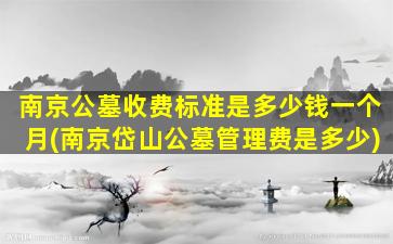 南京公墓收费标准是多少钱一个月(南京岱山公墓管理费是多少)
