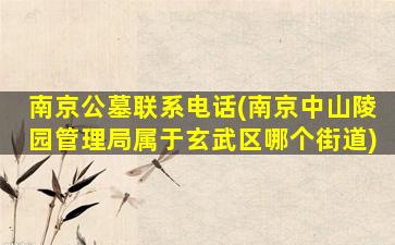 南京公墓联系电话(南京中山陵园管理局属于玄武区哪个街道)