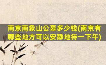 南京南象山公墓多少钱(南京有哪些地方可以安静地待一下午)