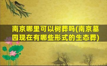 南京哪里可以树葬吗(南京墓园现在有哪些形式的生态葬)