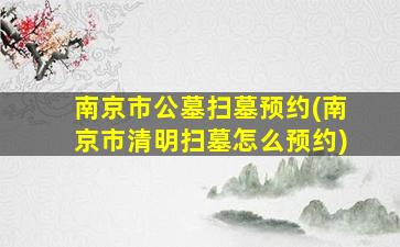 南京市公墓扫墓预约(南京市清明扫墓怎么预约)