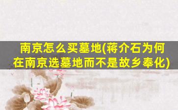 南京怎么买墓地(蒋介石为何在南京选墓地而不是故乡奉化)
