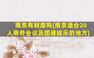 南京有树屋吗(南京适合20人商务会议及团建娱乐的地方)