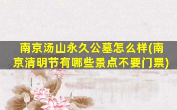 南京汤山永久公墓怎么样(南京清明节有哪些景点不要门票)