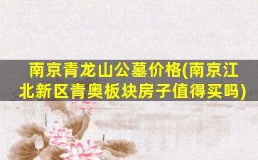 南京青龙山公墓价格(南京江北新区青奥板块房子值得买吗)