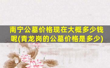 南宁公墓价格现在大概多少钱呢(青龙岗的公墓价格是多少)