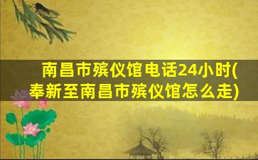 南昌市殡仪馆电话24小时(奉新至南昌市殡仪馆怎么走)
