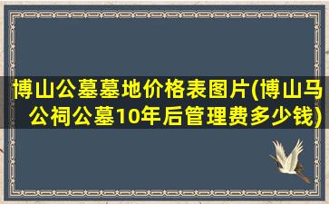 博山公墓墓地价格表图片(博山马公祠公墓10年后管理费多少钱)