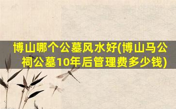 博山哪个公墓风水好(博山马公祠公墓10年后管理费多少钱)