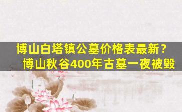 博山白塔镇公墓价格表最新？博山秋谷400年古墓一夜被毁