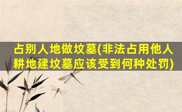 占别人地做坟墓(非法占用他人耕地建坟墓应该受到何种处罚)