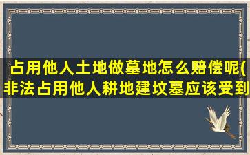 占用他人土地做墓地怎么赔偿呢(非法占用他人耕地建坟墓应该受到何种处罚)