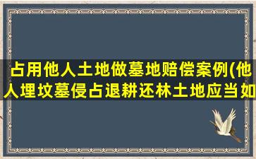 占用他人土地做墓地赔偿案例(他人埋坟墓侵占退耕还林土地应当如何处理)