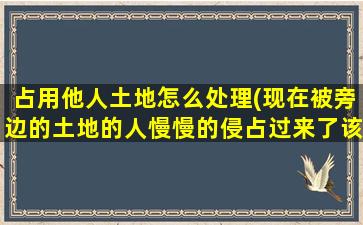 占用他人土地怎么处理(现在被旁边的土地的人慢慢的侵占过来了该怎么弄)