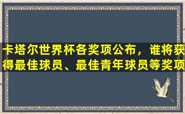 卡塔尔世界杯各奖项公布，谁将获得最佳球员、最佳青年球员等奖项？