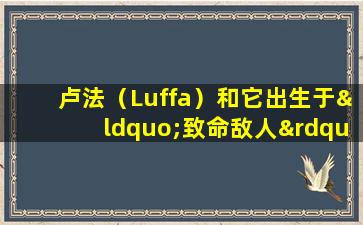 卢法（Luffa）和它出生于“致命敌人”。他们不能一起吃。如果您知道，您将从中受益！