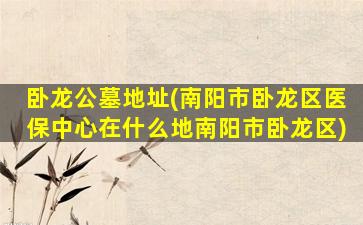 卧龙公墓地址(南阳市卧龙区医保中心在什么地南阳市卧龙区)