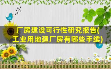 厂房建设可行性研究报告(工业用地建厂房有哪些手续)