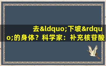 去“下坡”的身体？科学家：补充核苷酸30天后，免疫能力会得到显着提高吗？