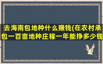 去海南包地种什么赚钱(在农村承包一百亩地种庄稼一年能挣多少钱)